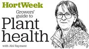 Growers’ Guide to Plant Health: Phytophthora root rots